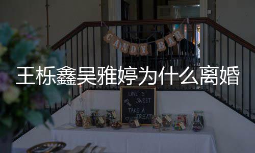 么离推测鑫吴离婚婚王栎为什网友为雅婷艺假上综