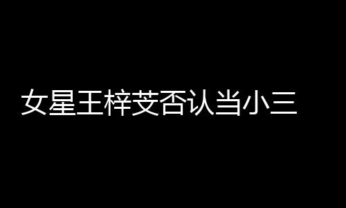 认当女星小三谅解假的配王梓芠否 原书是