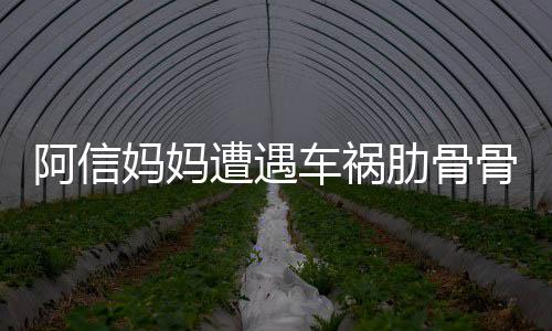 妈妈车祸 信肋骨阿信被送爸发平安遭遇骨折文报医院