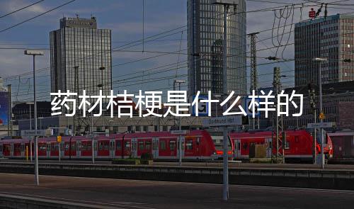 么样桔梗的药材是什