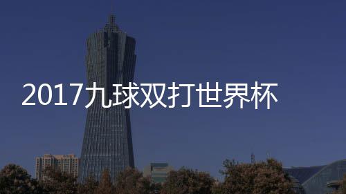 美国像 杯录比赛九球之一芬兰双打世界四分视频